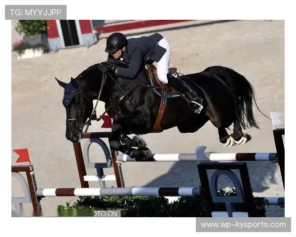 伊朗马术协会推出马术运动员健康管理系统，关注运动员身心健康。